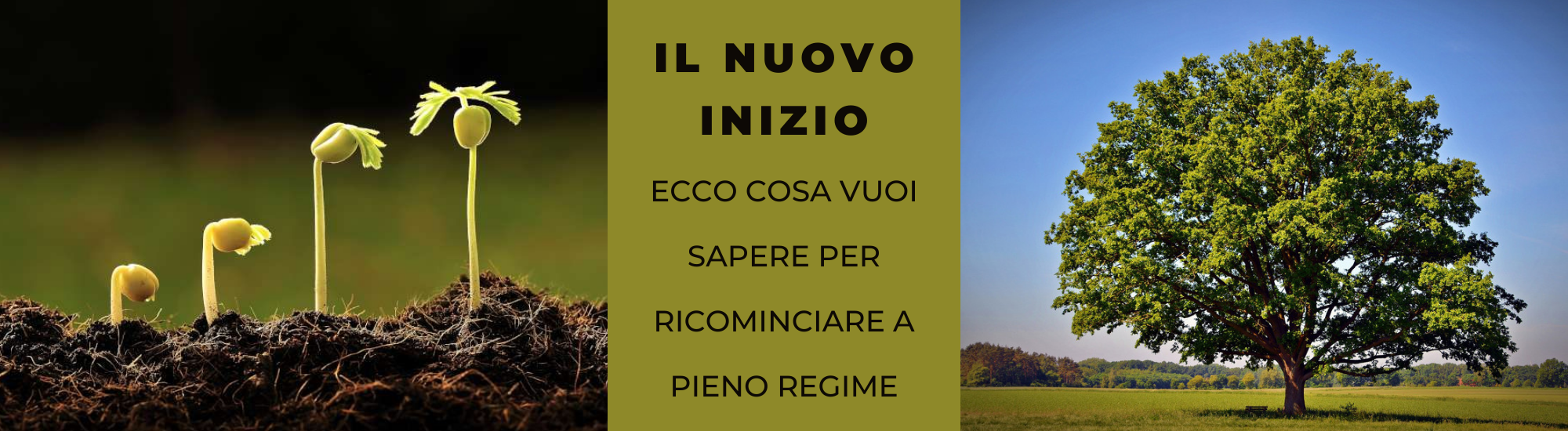 Il Nuovo Inizio